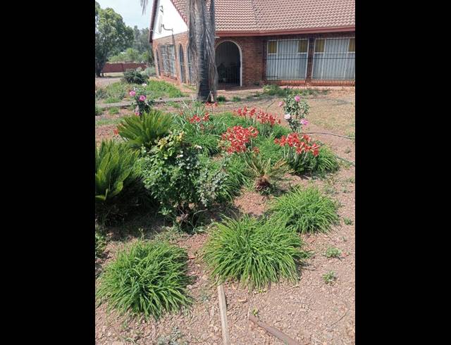 FARM FOR SALE IN SWACINA PARK AH